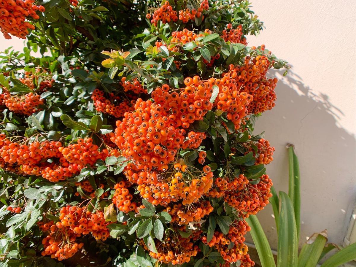Borgo Oblate Bed and Breakfast Firenze Esterno foto